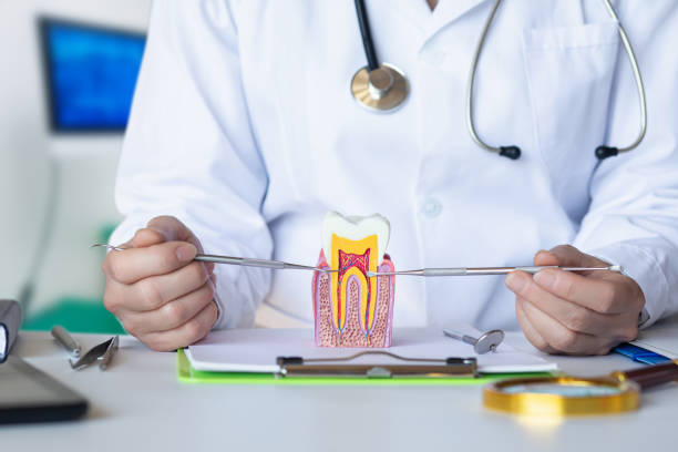 Best Emergency Wisdom Teeth Removal in Eerlin, ND